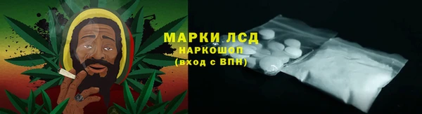 СК Арсеньев