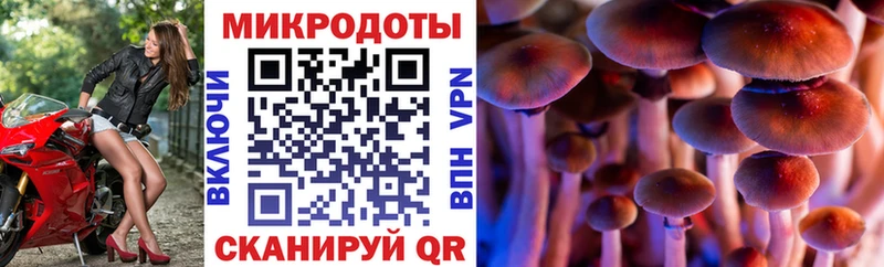 Галлюциногенные грибы Magic Shrooms  Усть-Джегута 